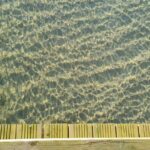 resized_36_api